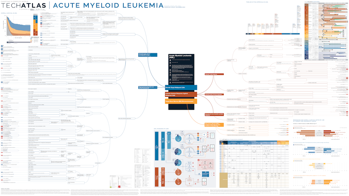 Acute Myeloid Luekemia