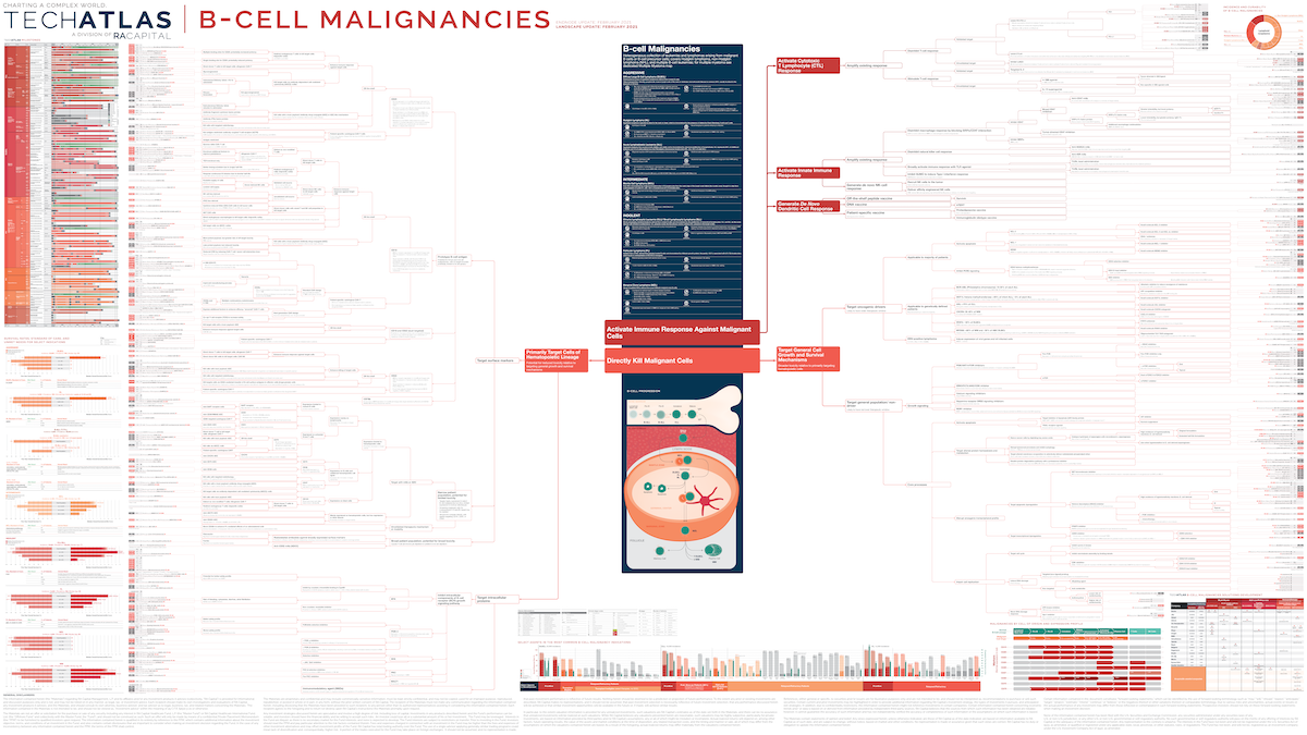 B-Cell Malignancies