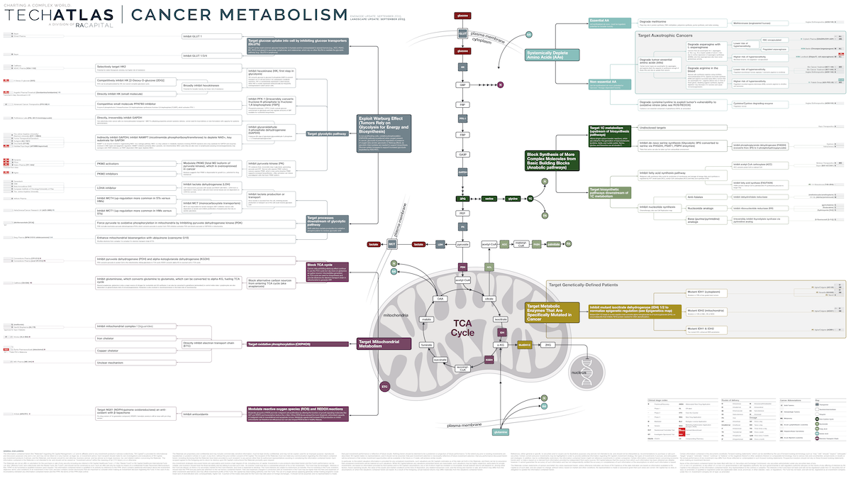 Cancer Metabolism