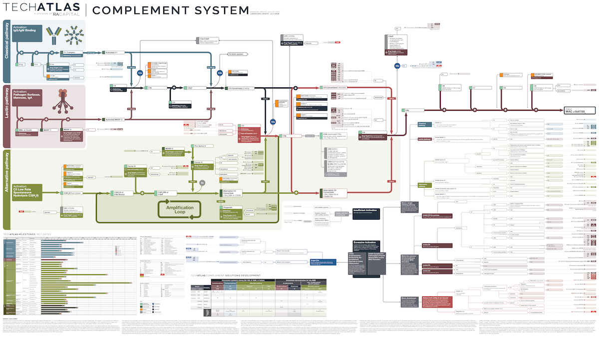 Complement System