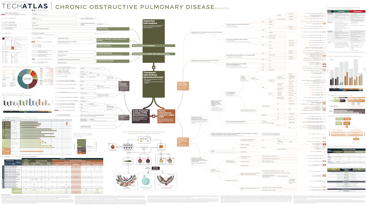 Chronic Obstructive Pulmonary Disease