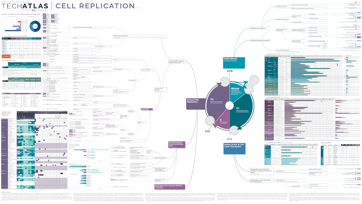 Cell Replication