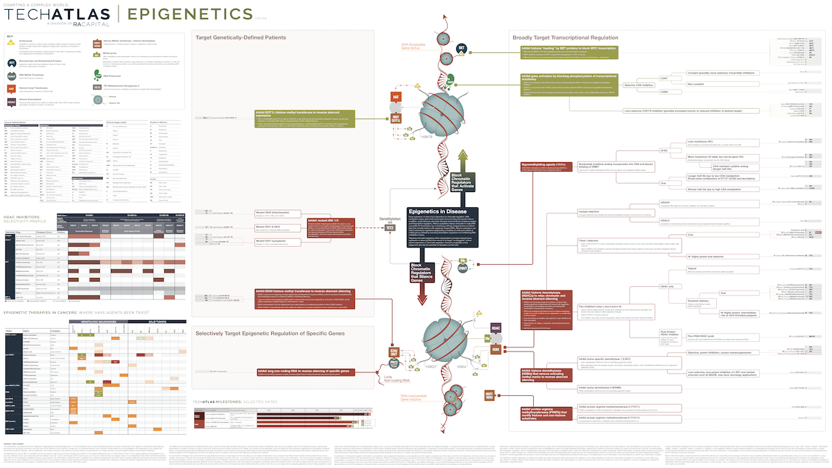 Epigenetics