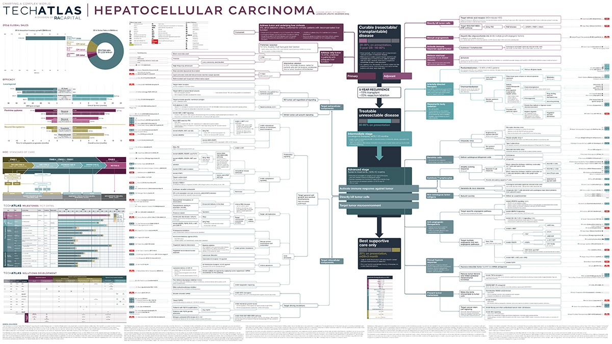 Hepatocellular Carcinoma