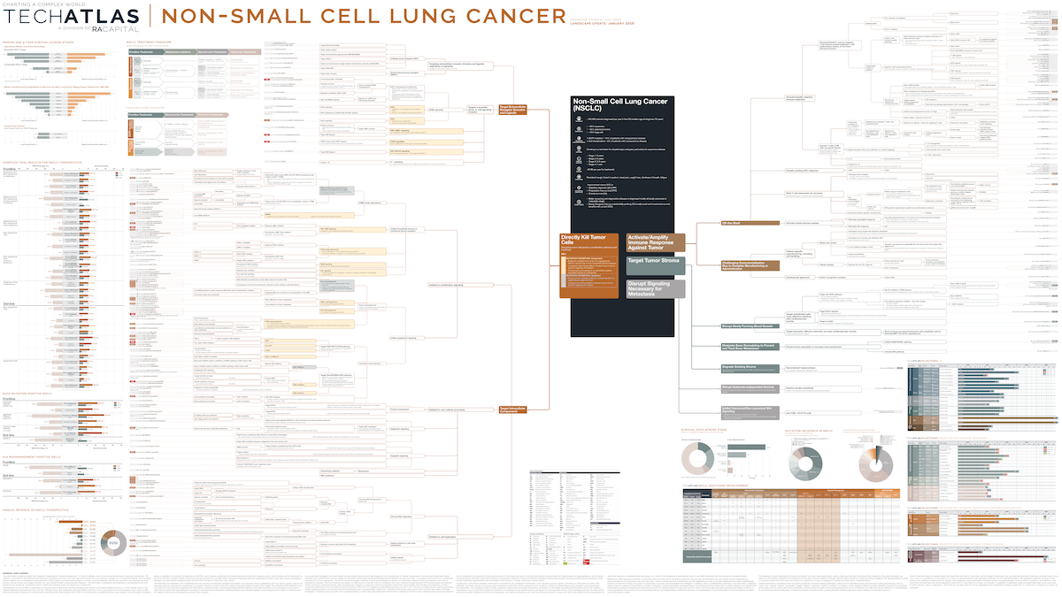 Non-Small Cell Lung Cancer