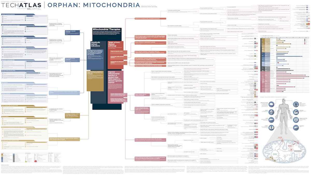 Orphan: Mitochondiral