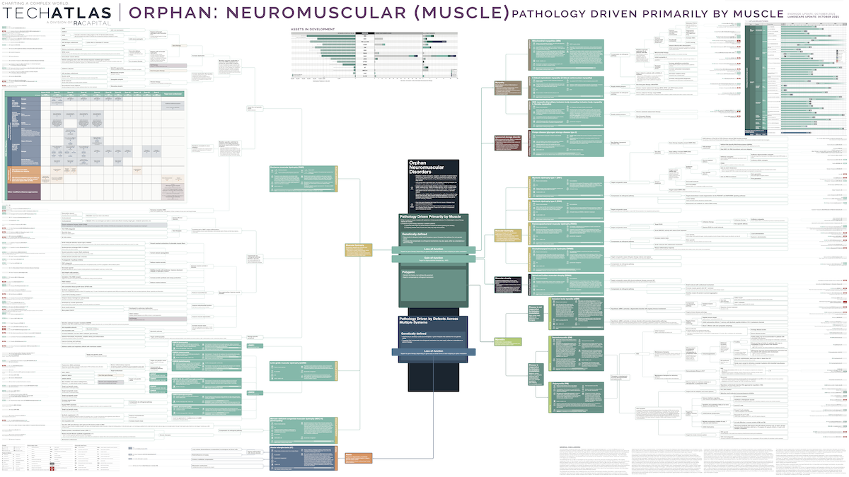 Orphan: Neuromuscular (Muscle)