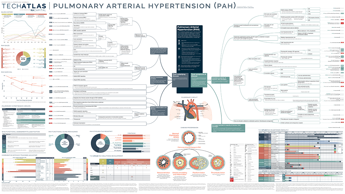 Pulmonary Arterial Hypertension (PAH)