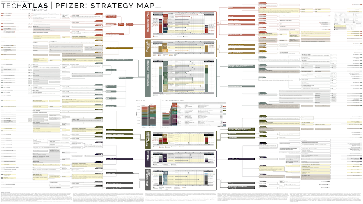 Pfizer: Strategy Map