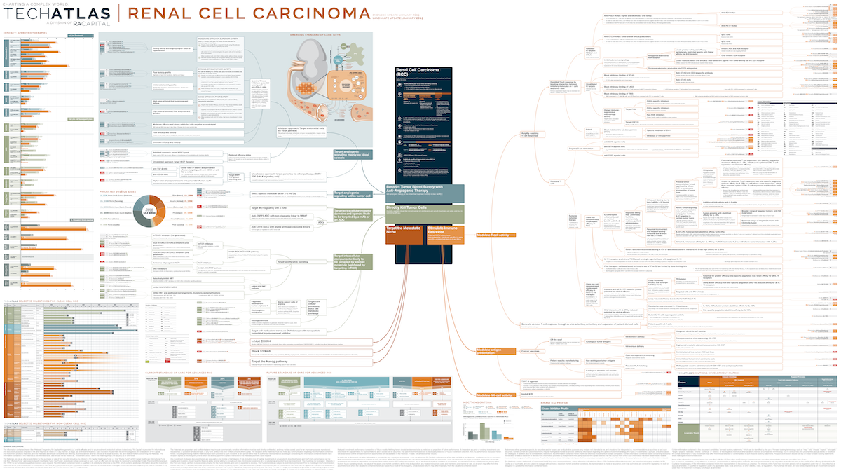 Renal Cell Carcinoma