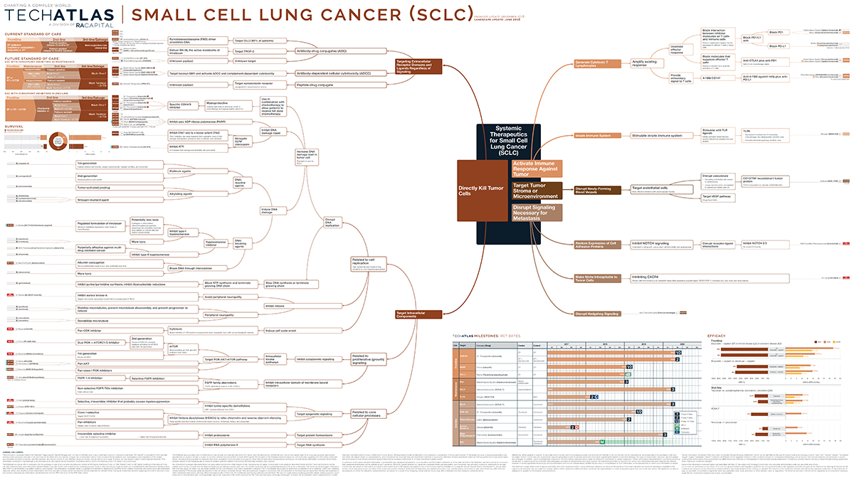 Small Cell Lung Cancer (SCLC)