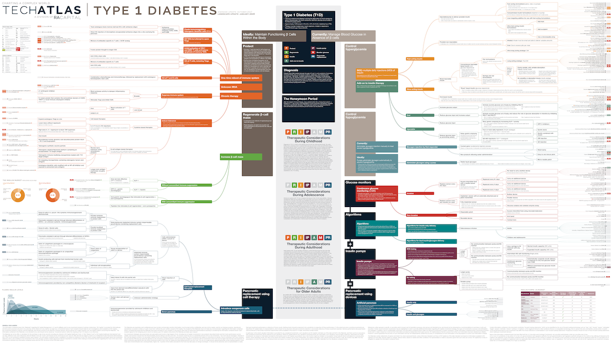 Type 1 Diabetes